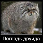 CAHTEXHIK-CAH